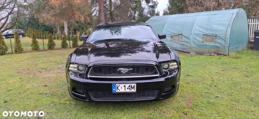 Ford Mustang 3.7 V6 - 10