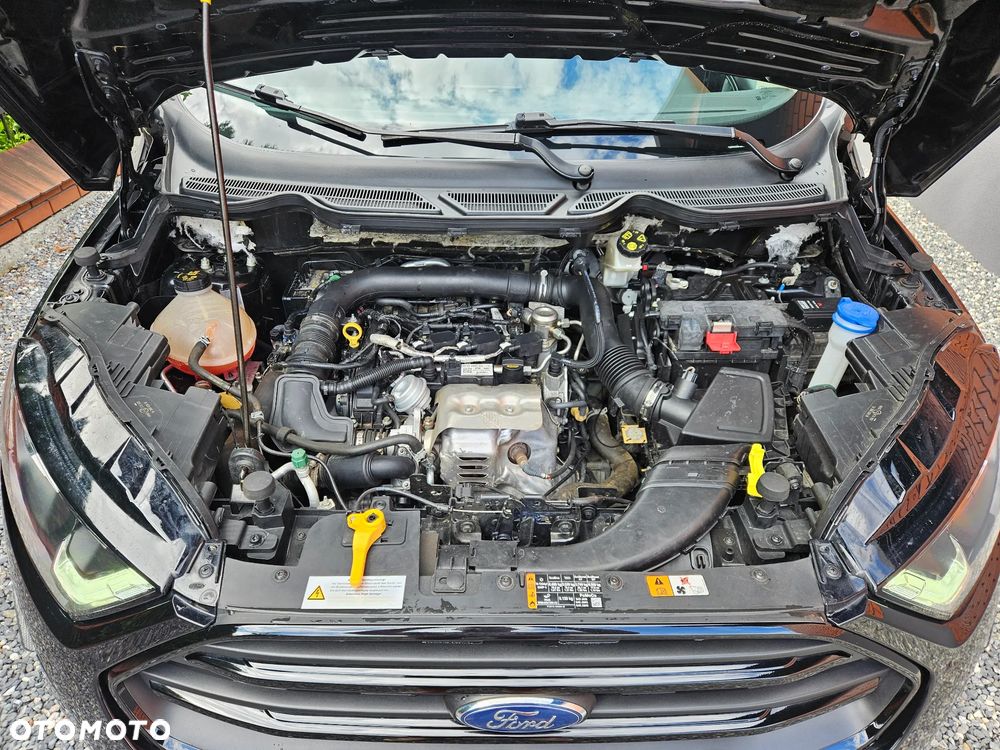 Ford EcoSport 1.0 EcoBoost ST-Line Black ASS - 16