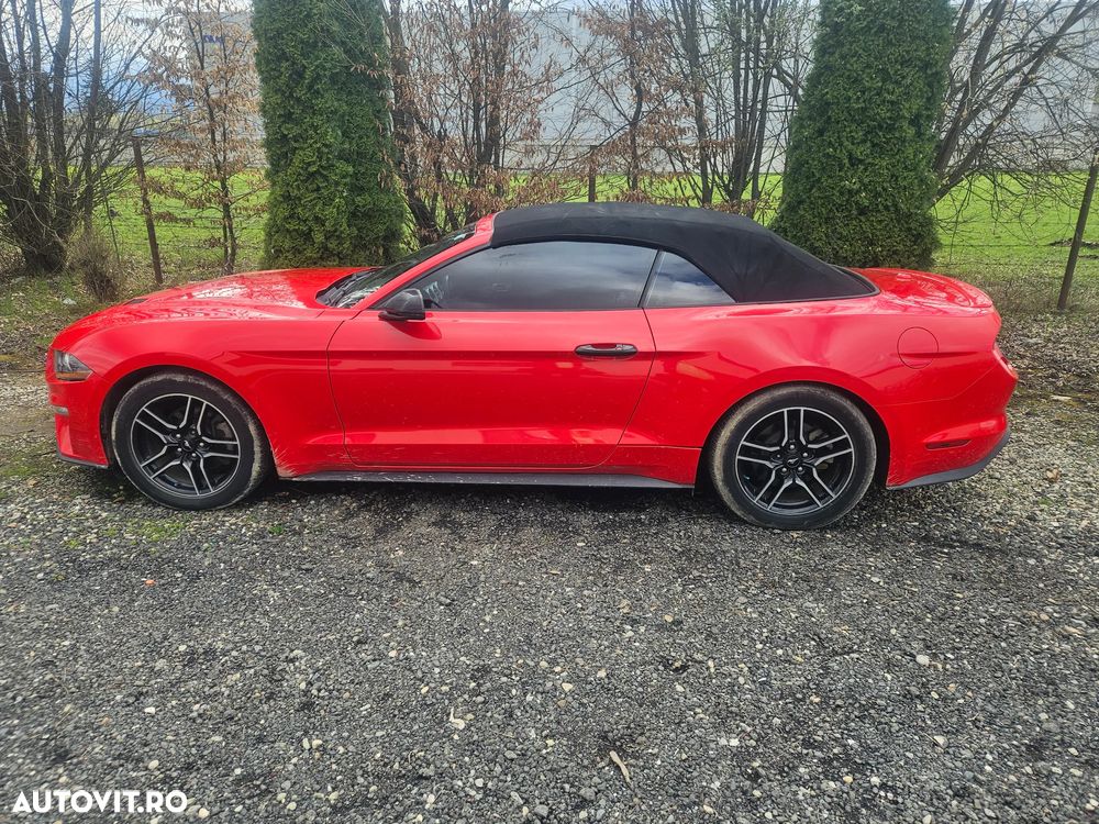 Ford Mustang Cabrio 2.3 Eco Boost - 2