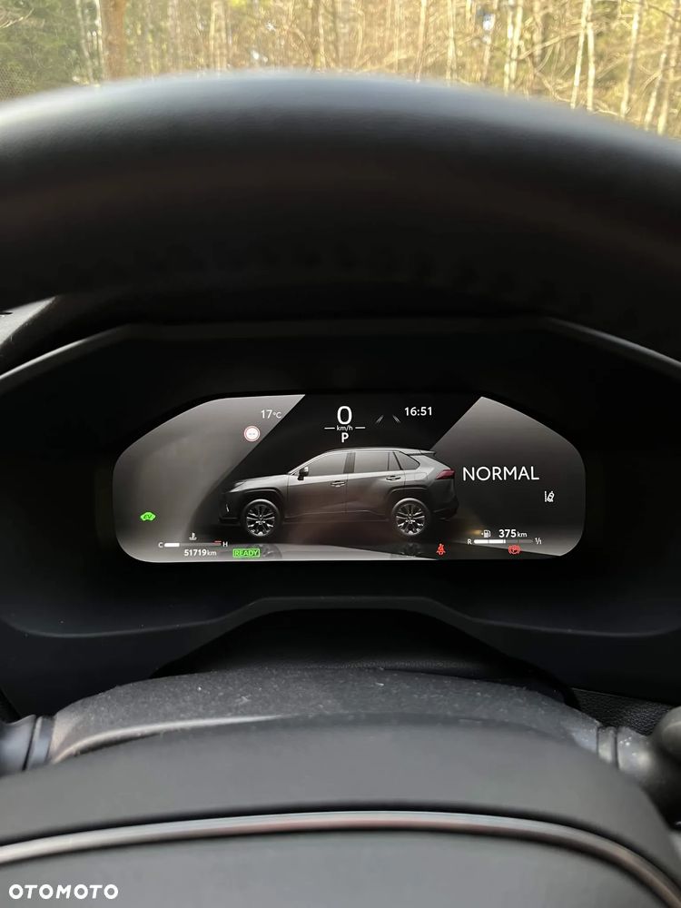 Toyota RAV4 2.5 Hybrid Selection 4x4 - 29