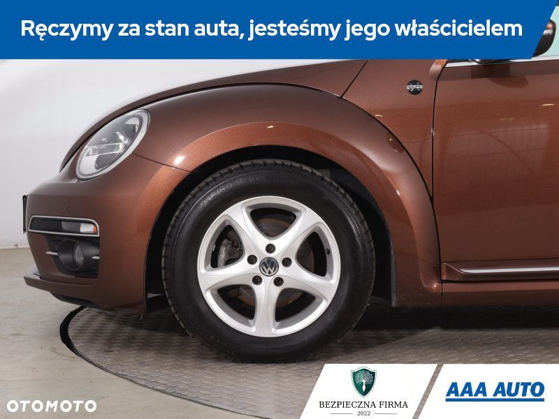 Volkswagen Beetle - 17