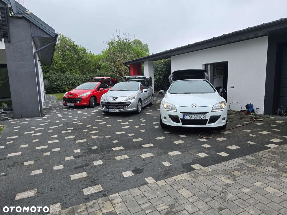 Renault Megane - 18