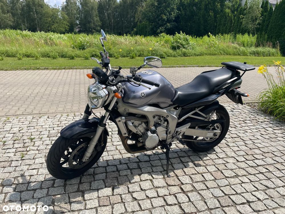 Yamaha FZ6 - 3