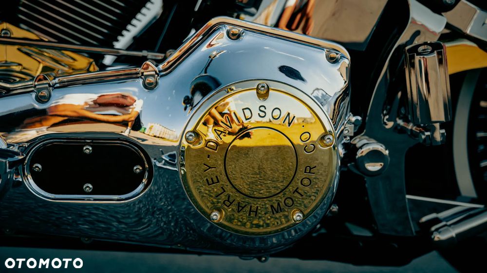 Harley-Davidson Softail Deluxe - 10