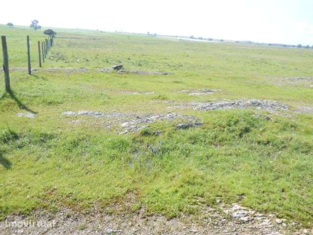 Terreno Agrícola zona Lago de Alqueva - Grande imagem: 2/8