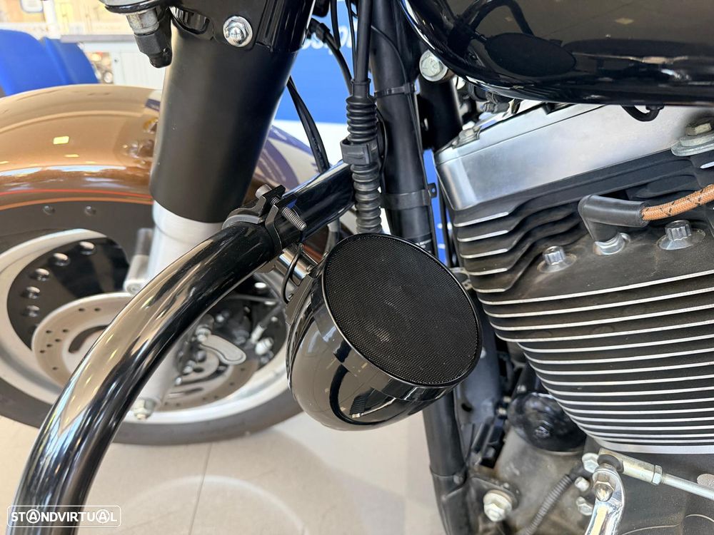 Harley-Davidson Fat Boy ANIVERSÁRIO 110 ANOS - 11