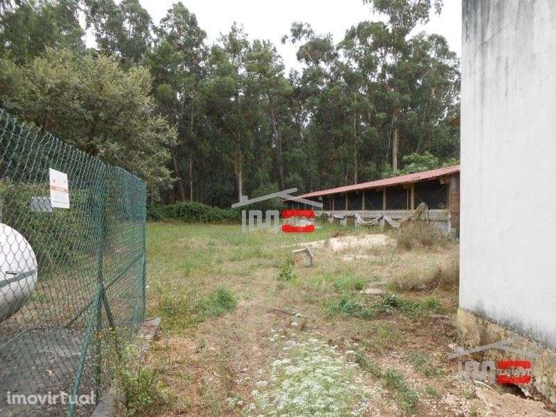 Quintinha - Grande imagem: 4/23