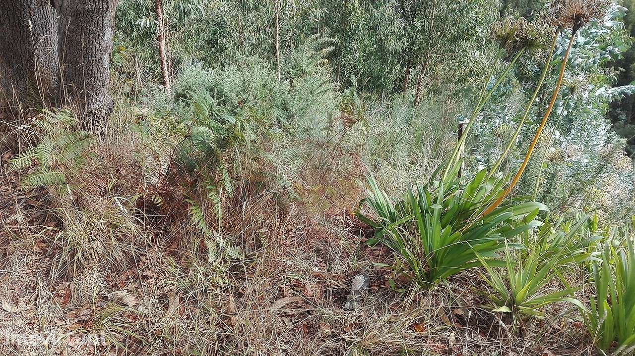 Terreno  para venda - Grande imagem: 2/16