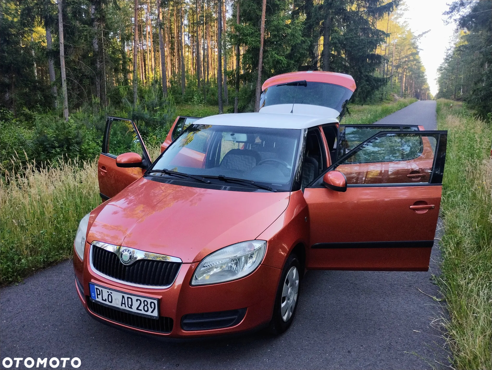 Skoda Fabia - 8