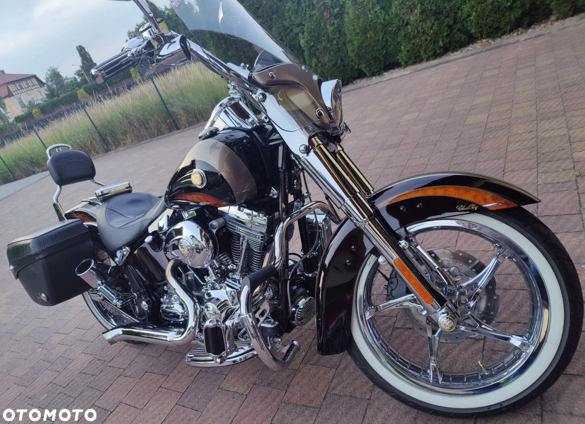 Harley-Davidson Softail - 9