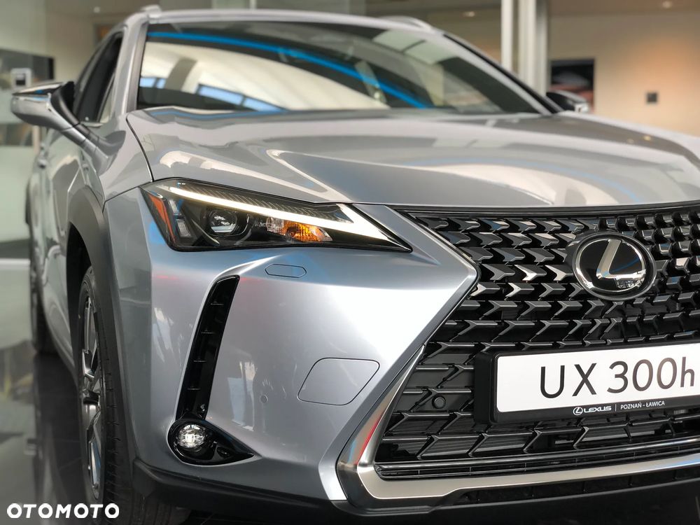Lexus UX 300h Business - 18
