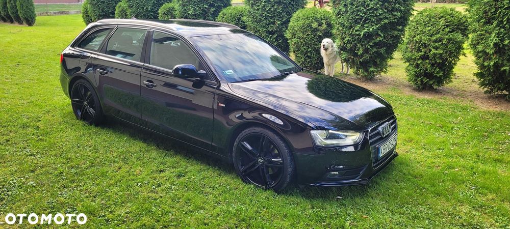 Audi A4 2012 photo 2