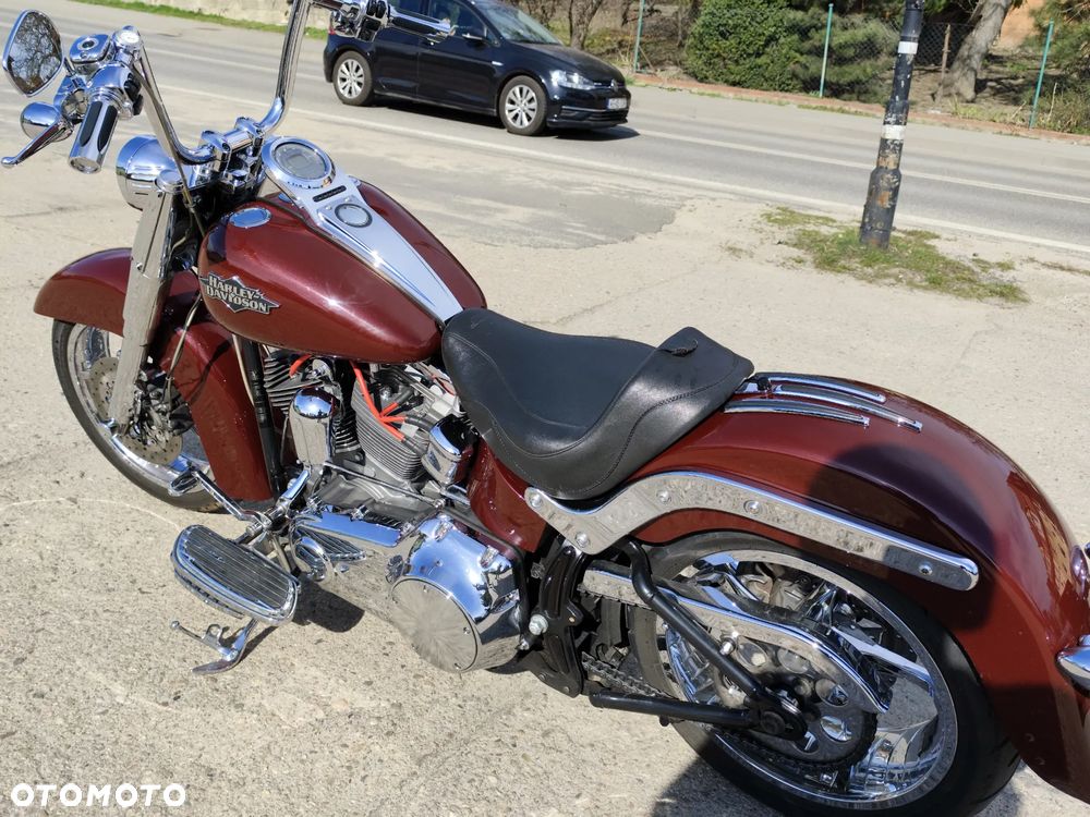 Harley-Davidson Softail - 13