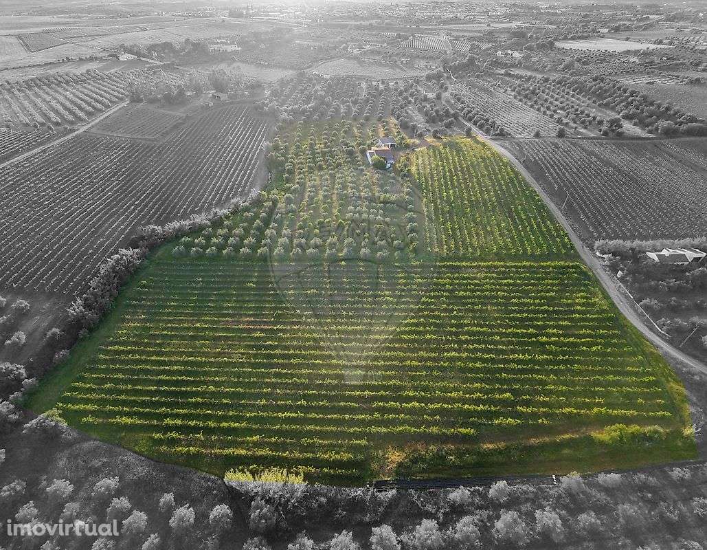 Quinta  para venda - Grande imagem: 5/50