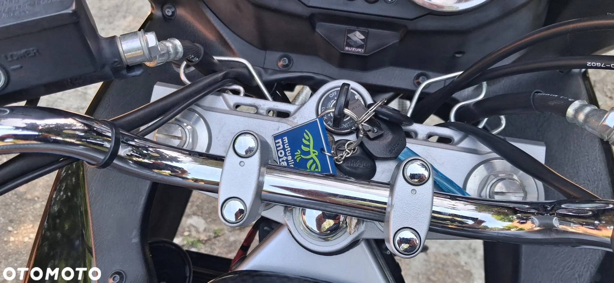 Suzuki Bandit - 5