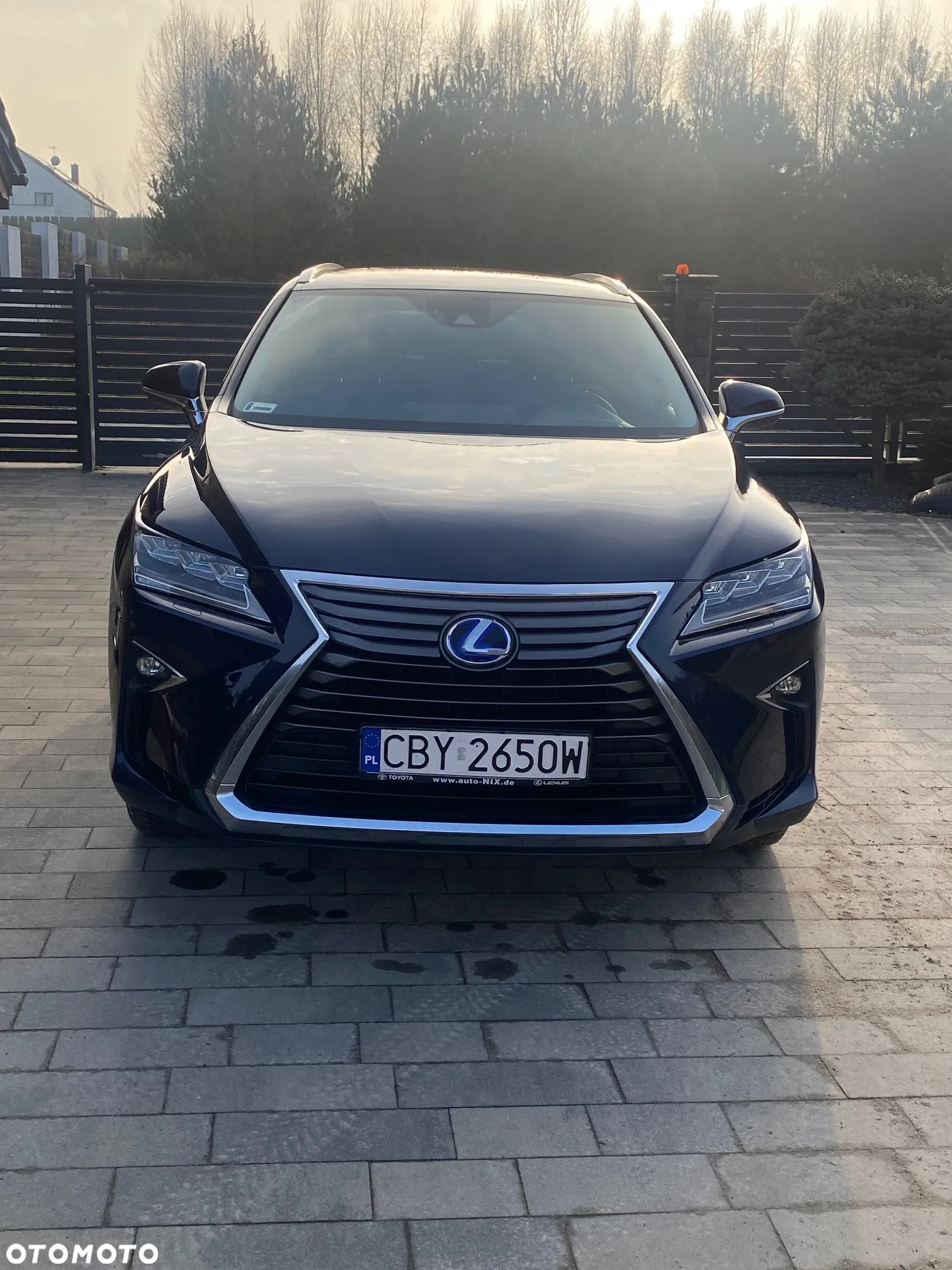 Lexus RX - 3