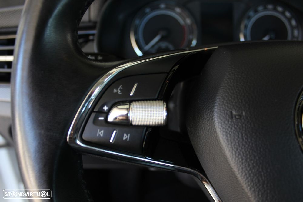 Skoda Kamiq 1.0 TSI Ambition DSG - 19