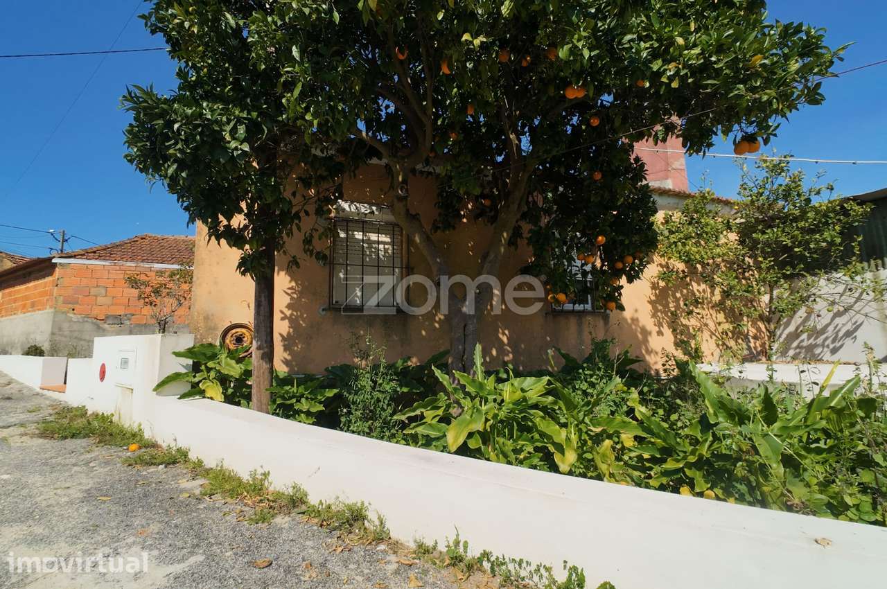 Moradia terrea com terreno em Amoreira da Gandara - Anadia - Grande imagem: 5/25