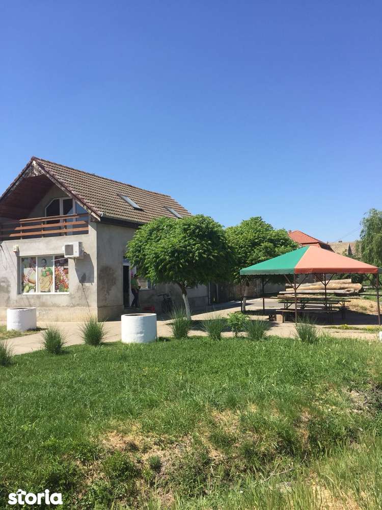 Spațiu comercial | DN69  | comuna Pesac | 50 km de Timișoara - Imagine principală: 2/9