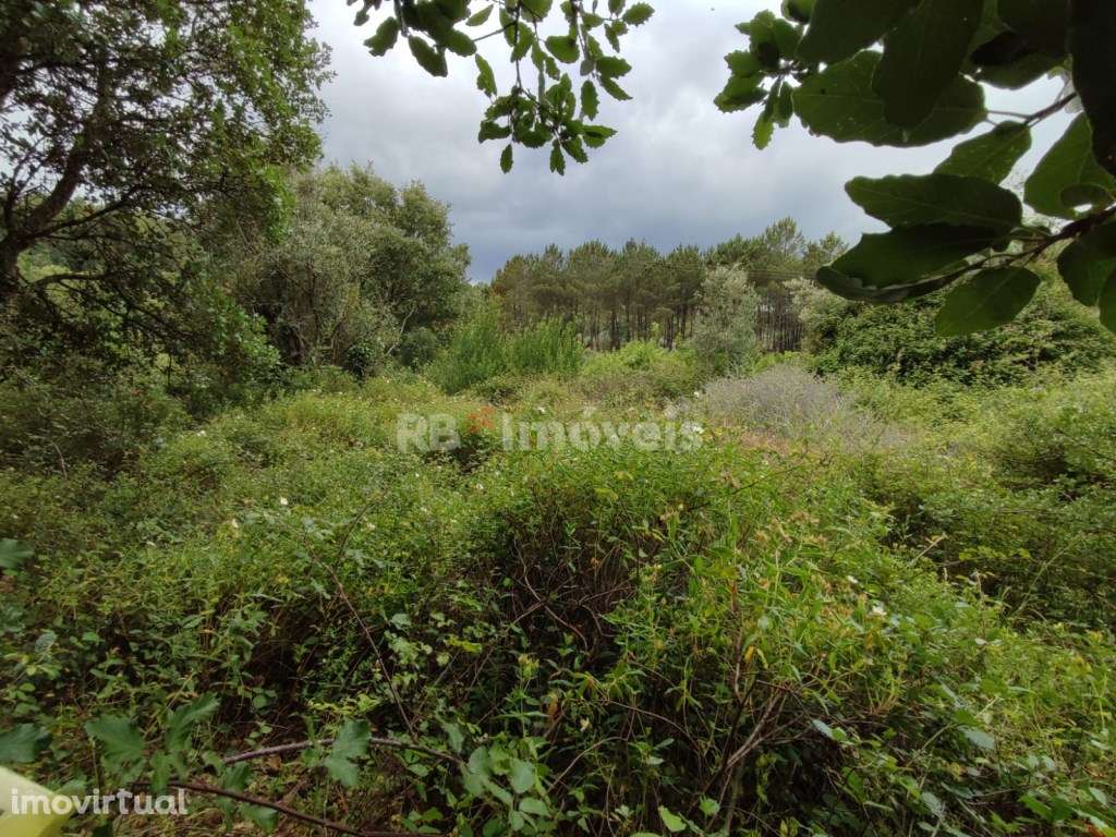 Terreno Rústico com 1880m² e com poço - Igreja Nova do Sobral, Ferr... - Grande imagem: 2/8
