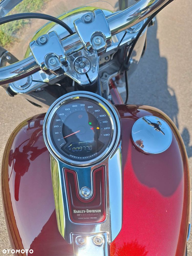 Harley-Davidson Inny - 8