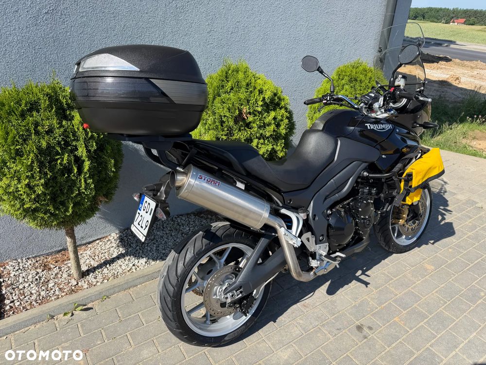 Triumph Tiger - 18
