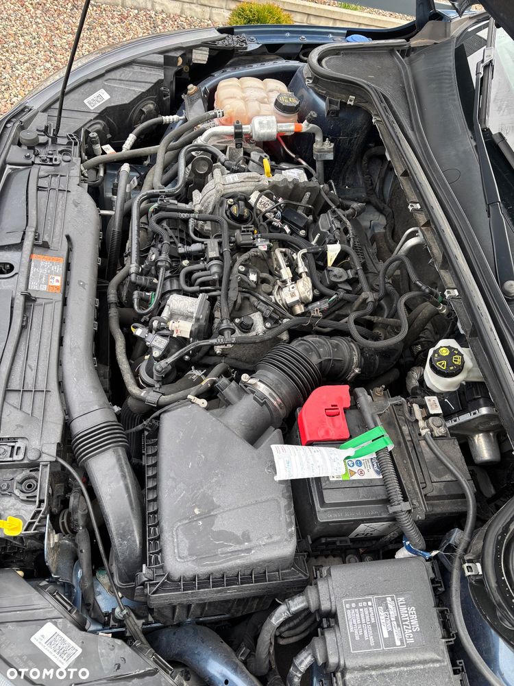 Ford Focus 1.0 EcoBoost mHEV Active - 5