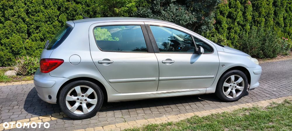 Peugeot 307 1.6 Oxygo - 13