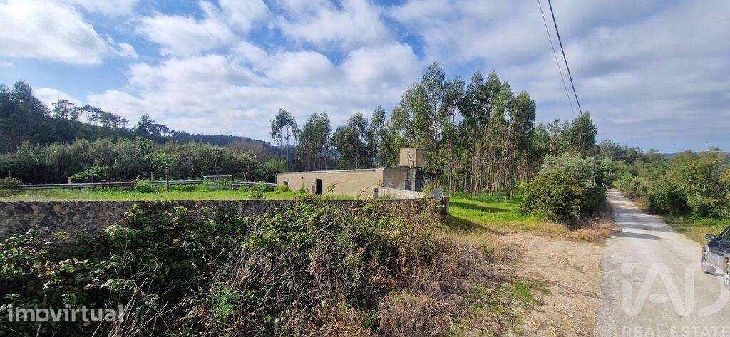 Terreno em Mafra de 8875,00 m2 - Grande imagem: 3/28