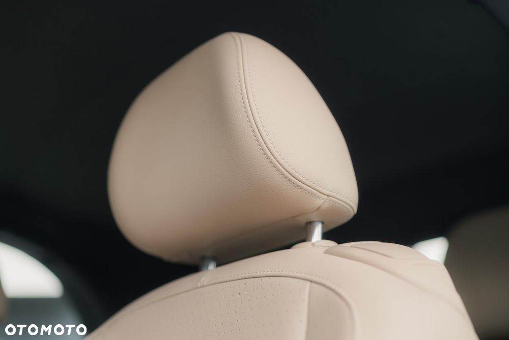 Volkswagen Beetle - 31