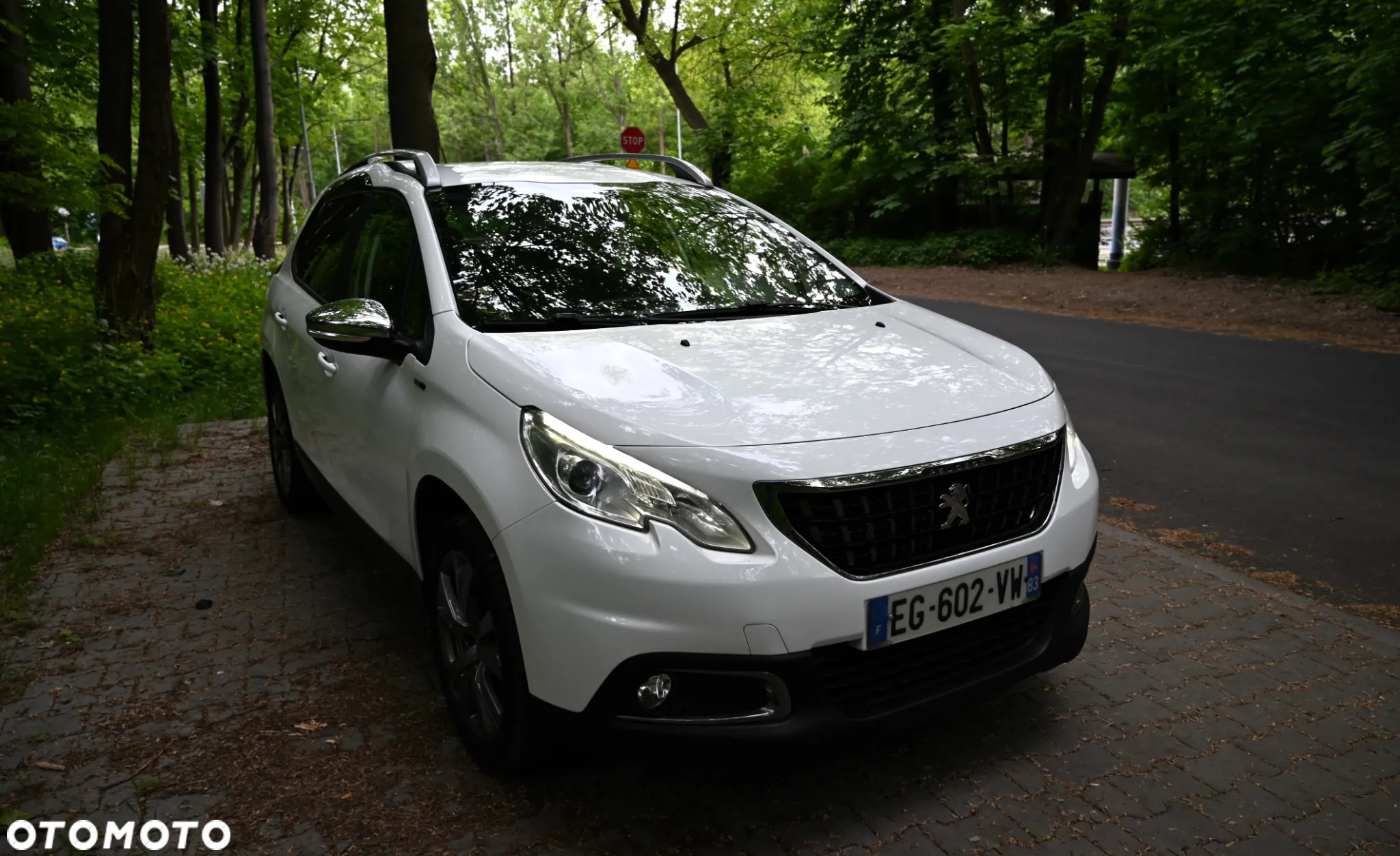 Peugeot 2008 1.6 BlueHDi Active - 9