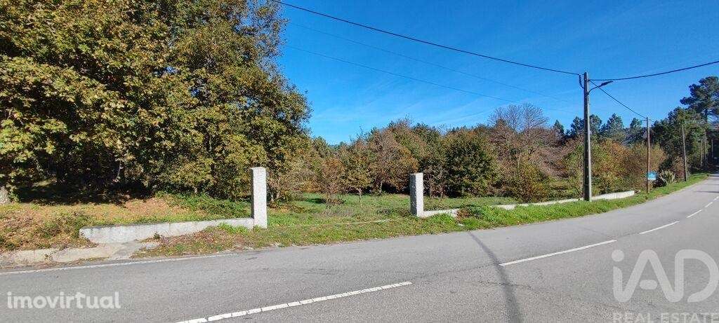 Terreno em Mões de 7230,00 m2 - Grande imagem: 4/20