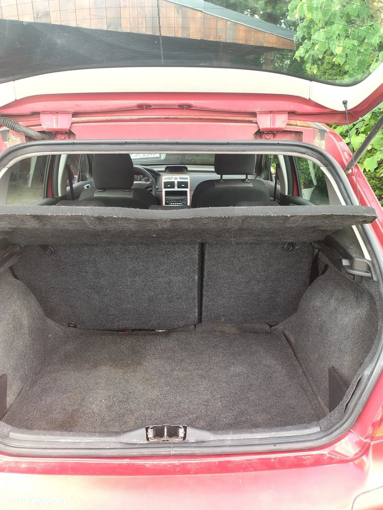 Peugeot 307 1.6 - 21