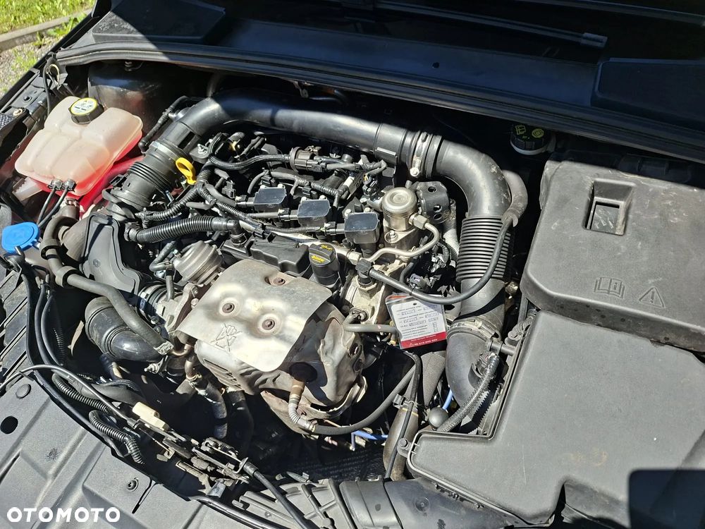Ford Focus - 19