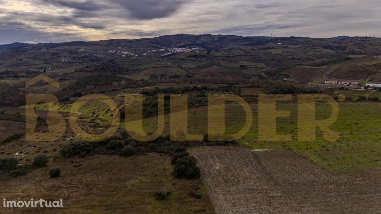Quinta do Arieiro - Cedovim | Vila Nova de Foz Côa | Douro Superior - Grande imagem: 2/52