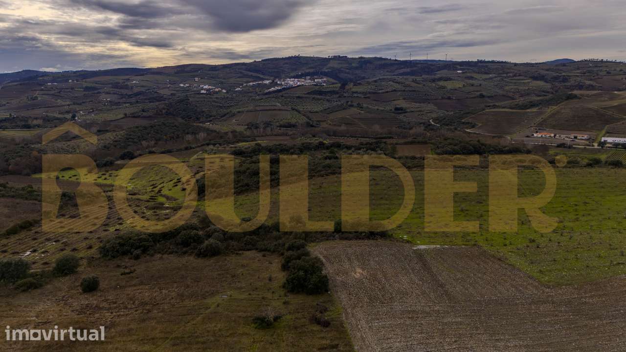 Quinta do Arieiro - Cedovim | Vila Nova de Foz Côa | Douro Superior - Grande imagem: 2/52