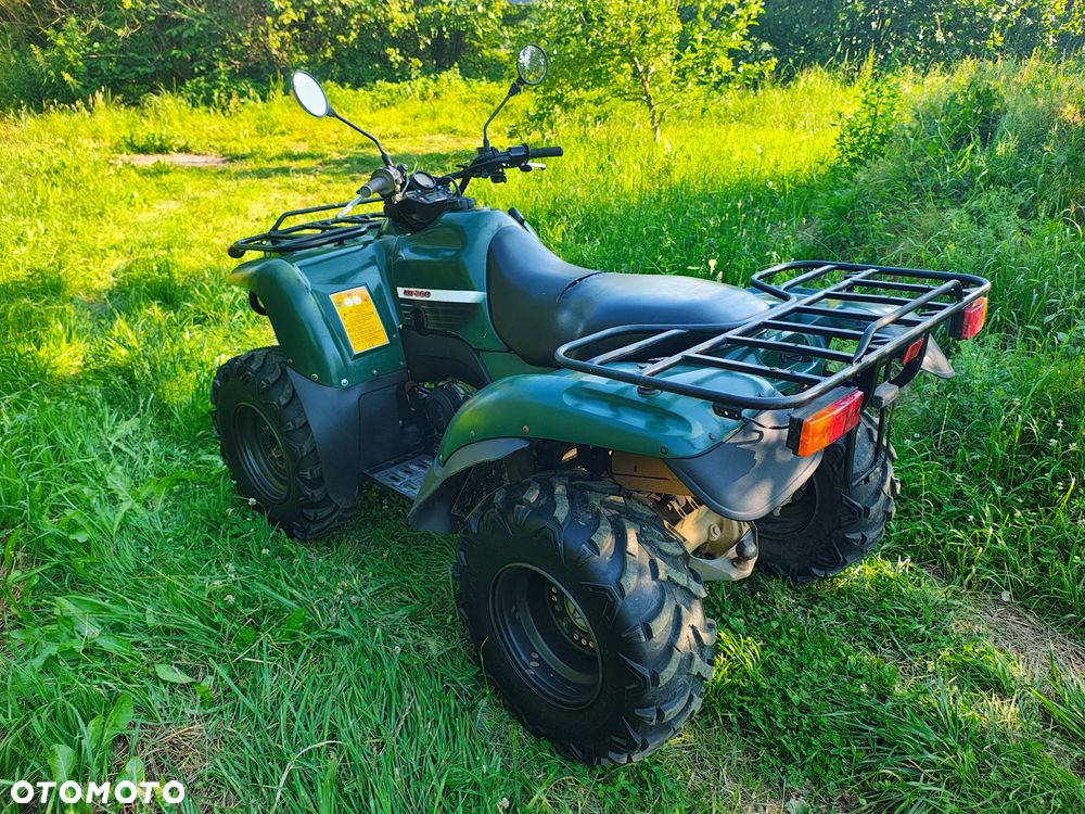 Kawasaki Brute Force - 4