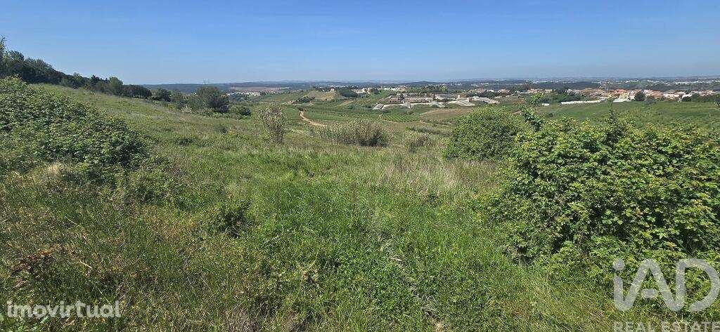 Terreno Agrícola em Vilar - Grande imagem: 5/9