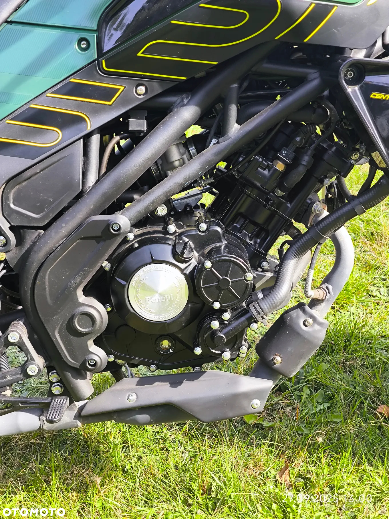 Benelli Leoncino - 10