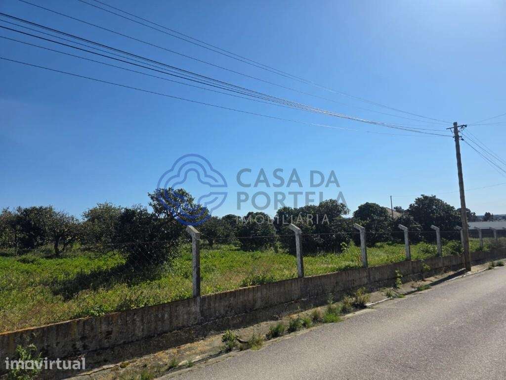 TERRENO COM ELEVADO POTENCIAL DE CONSTRUÇÃO – MONTIJO - Grande imagem: 5/18