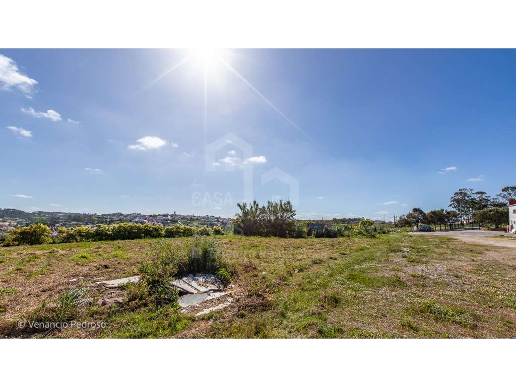 Vende Armazém - Ericeira, A Casa das Casas - Grande imagem: 4/14