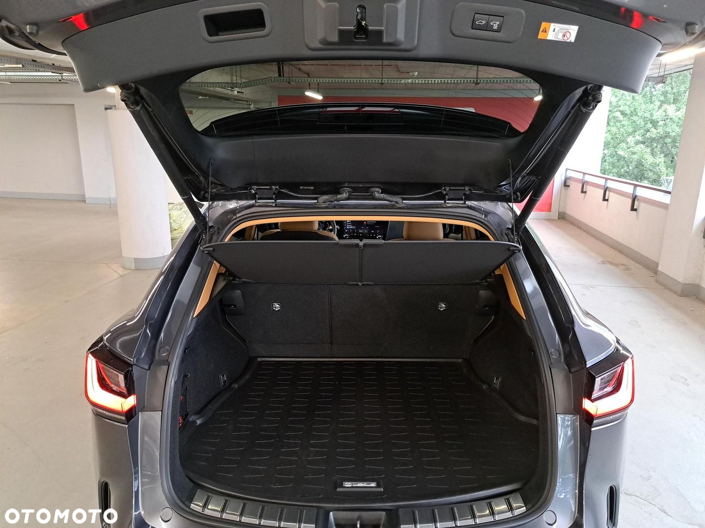 Lexus NX - 12