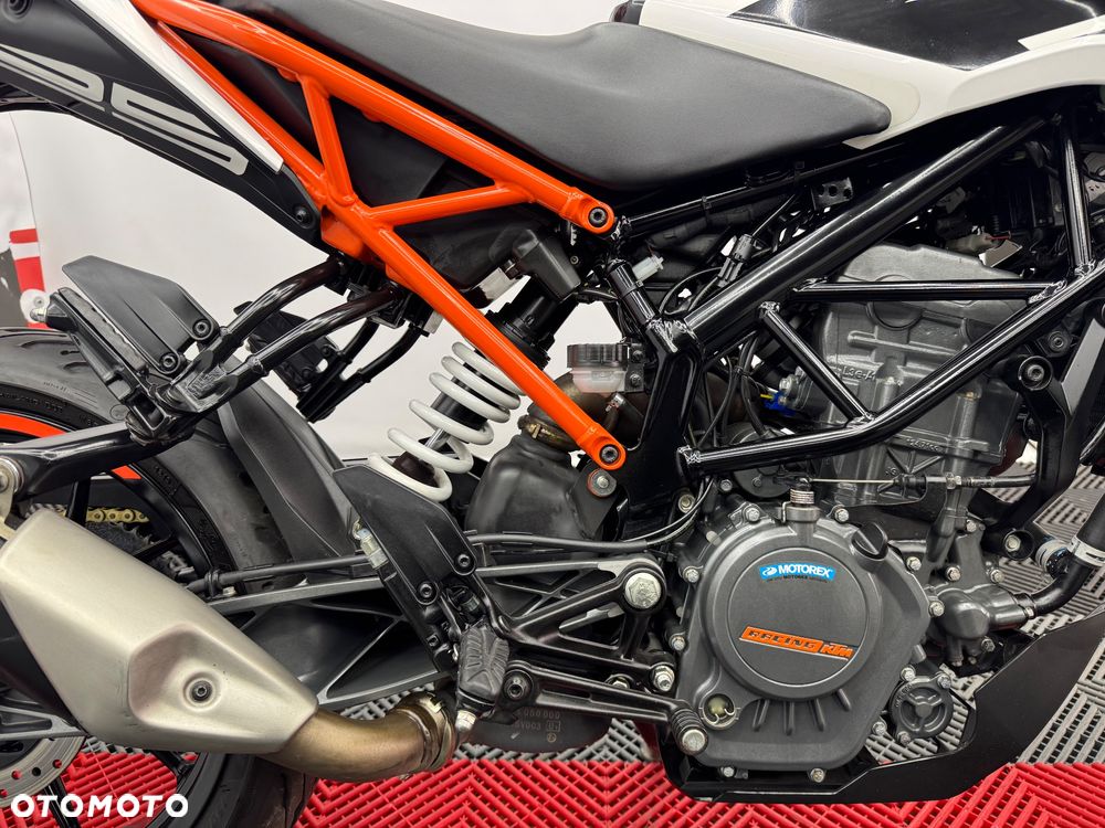 KTM Duke - 39