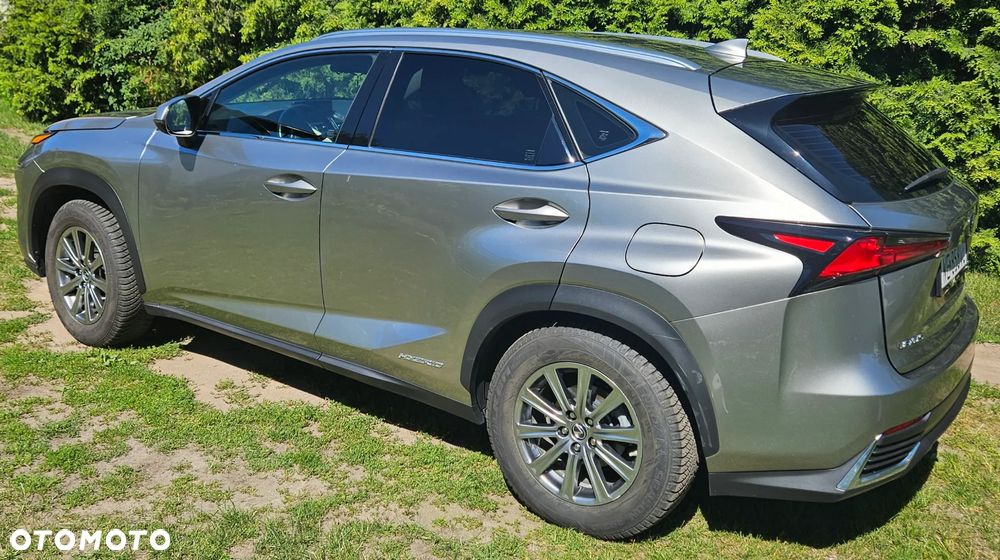 Lexus NX 300h Comfort AWD - 7