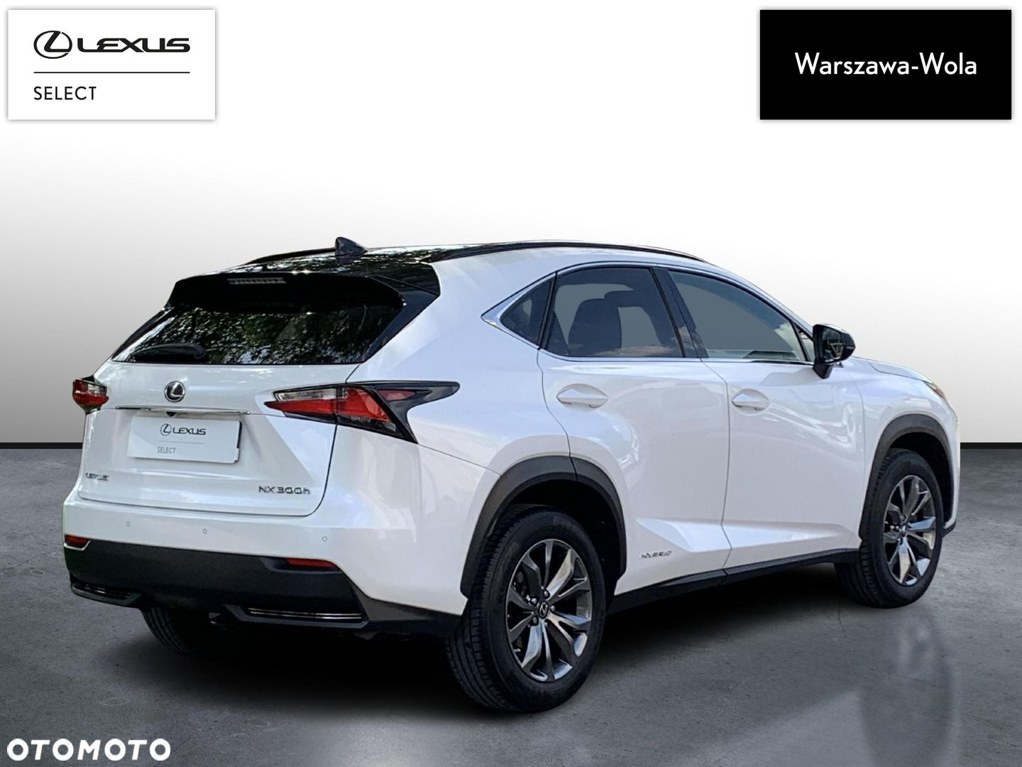 Lexus NX - 7