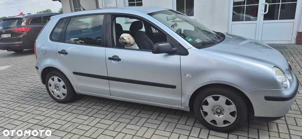 Volkswagen Polo - 3