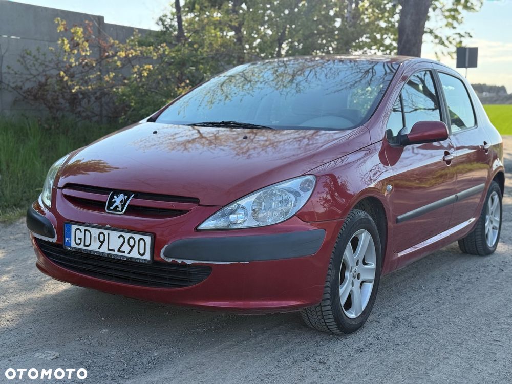 Peugeot 307 2.0 XS Class - 1