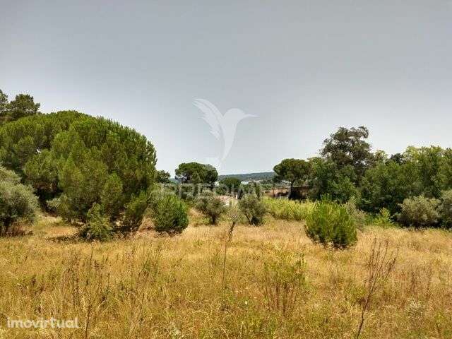 Terreno Rústico com 3750m2 em Montargil - Grande imagem: 3/10