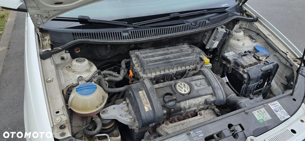 Volkswagen Polo 1.4 United - 13