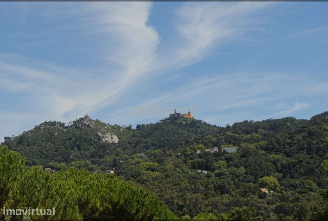 Vende-se Terreno com 7880 m2 e vista privilegiada para a Serra de Sint - Grande imagem: 4/14